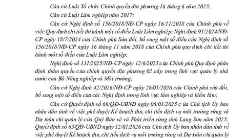 NGHỊ QUYẾT Phê duyệt Kế hoạch sử dụng tiền dịch vụ môi trường rừng do Uỷ ban nhân dân xã quản lý năm 2026